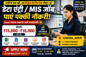 Data Entry MIS Executive Job in Jaipur