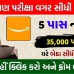 Amazon Job Work From Home 2026