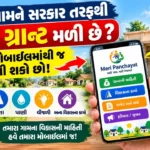 Meri Panchayat App